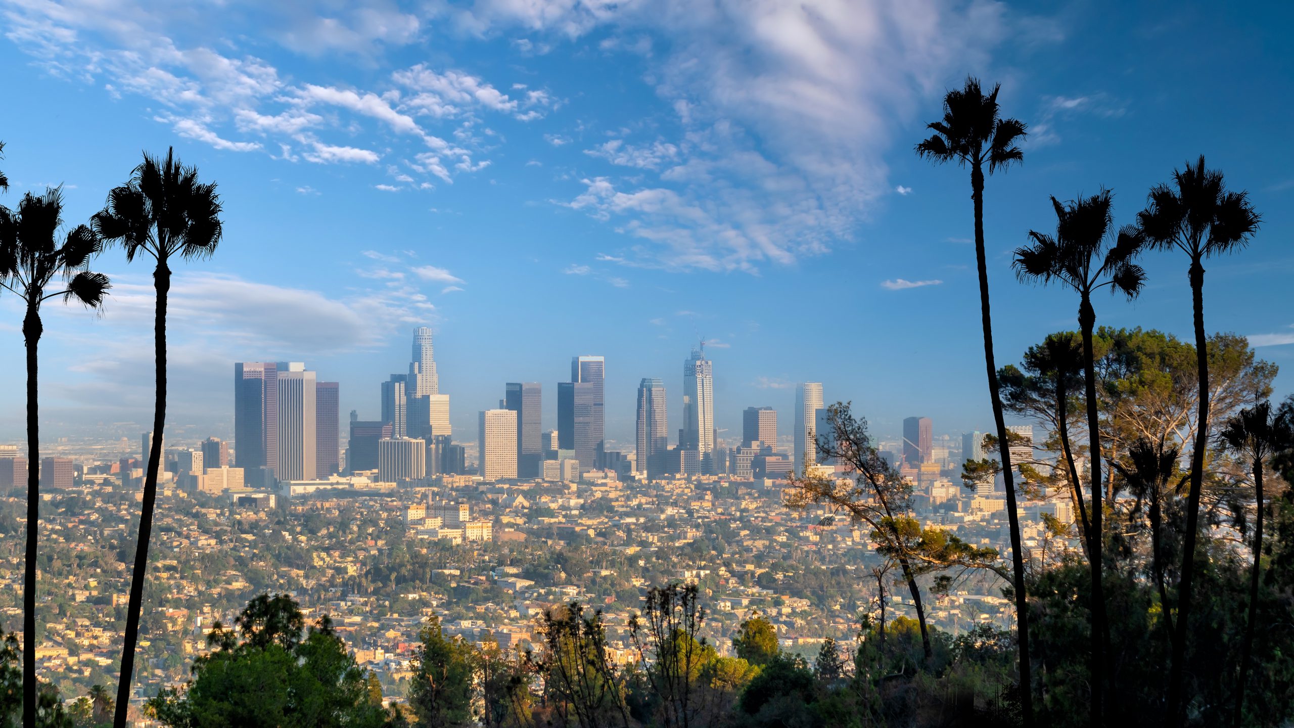 Hollywood Los Angeles skyline, managed IT services
